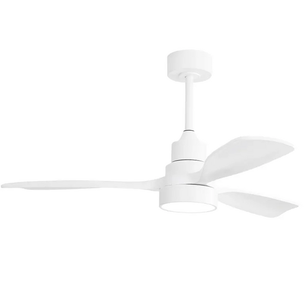 Ceiling fans w/lights