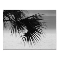 Black White Seaside Surfing Canvas Wall Poster Modern Frameless Art