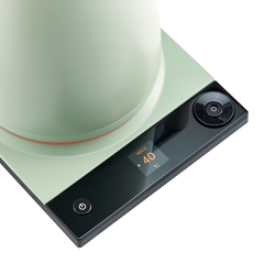 Luna Electric Kettle Pro