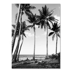 Black White Seaside Surfing Canvas Wall Poster Modern Frameless Art