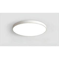 Dimmable Smart Ceiling Lamp with Remote - Bedroom & Living Room LED Light